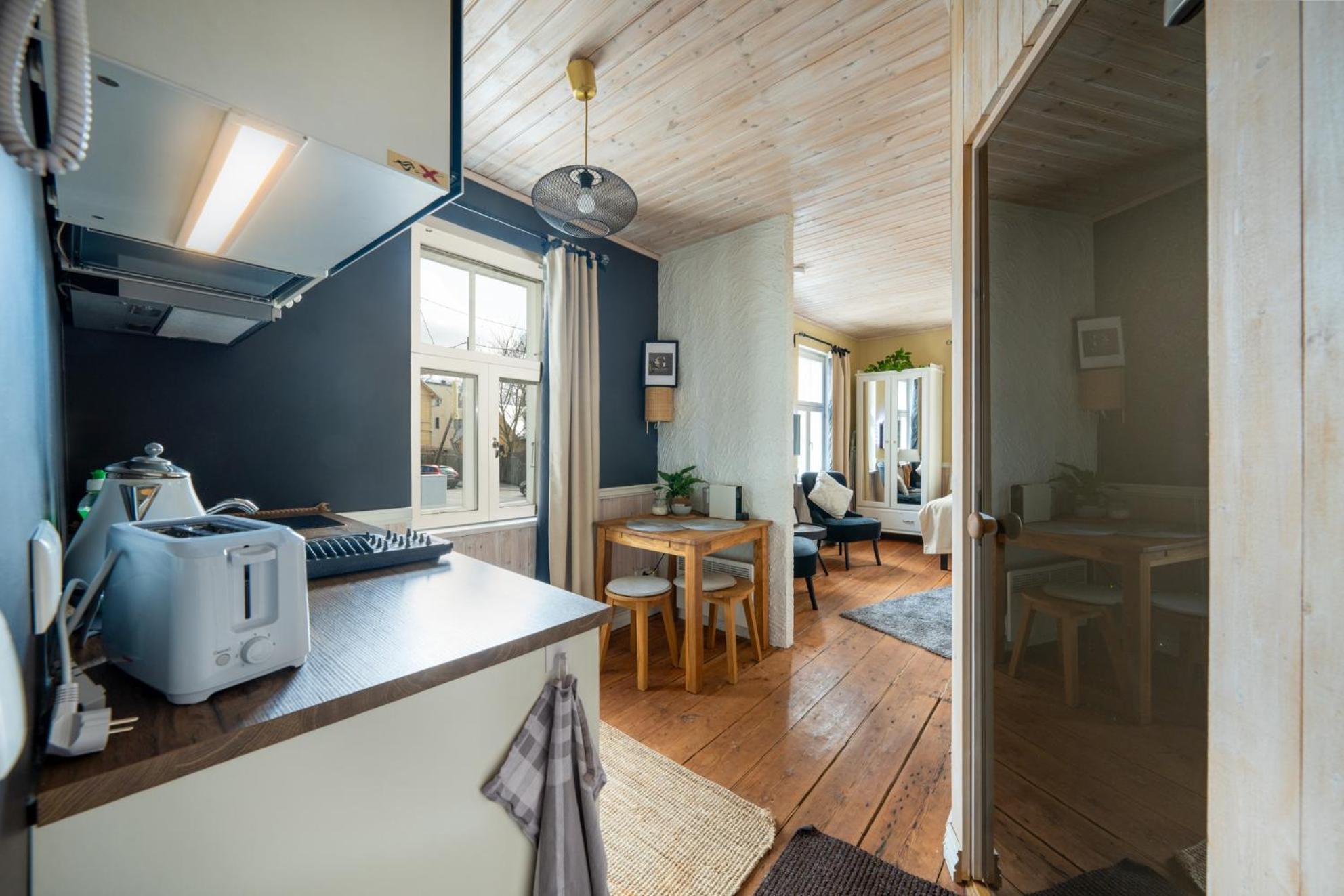 Garden Studio Next To Telliskivi & Old Town Ταλίν Εξωτερικό φωτογραφία